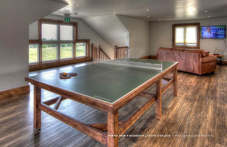 Ping pong table